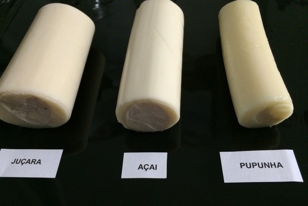 Palmito em Conserva - Diferenças